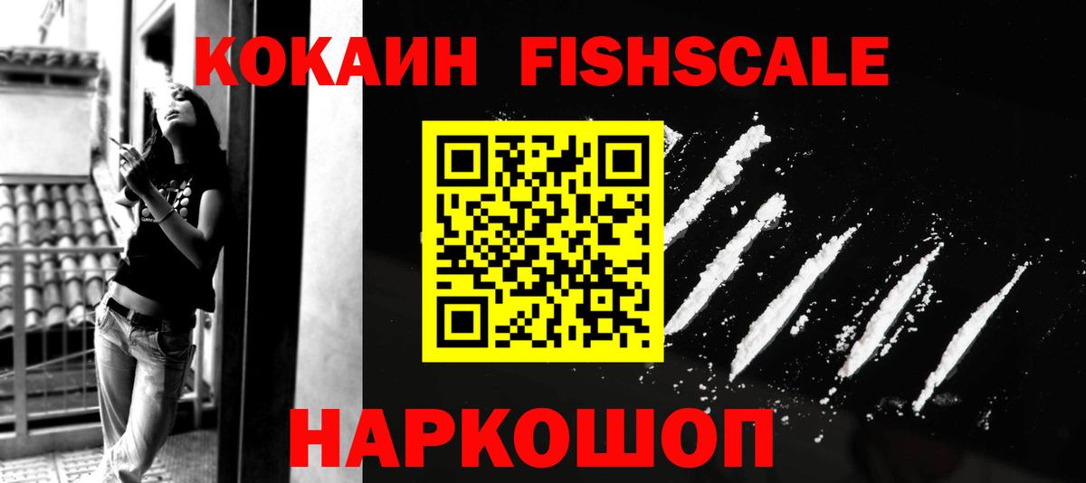 МЕФ Корсаков