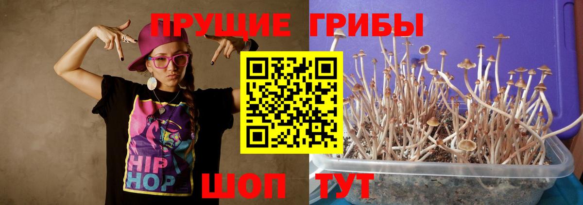 закладка  Вход с VPN  Корсаков  Галлюциногенные грибы мухоморы 